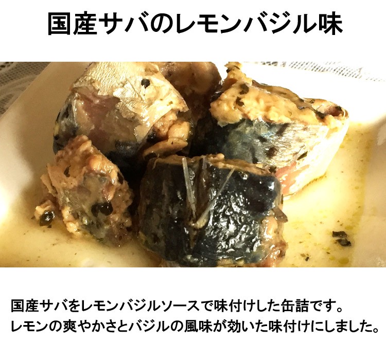 サバ缶 24缶 非常食 防災 さば缶詰 鯖缶 サヴァ缶 岩手県産