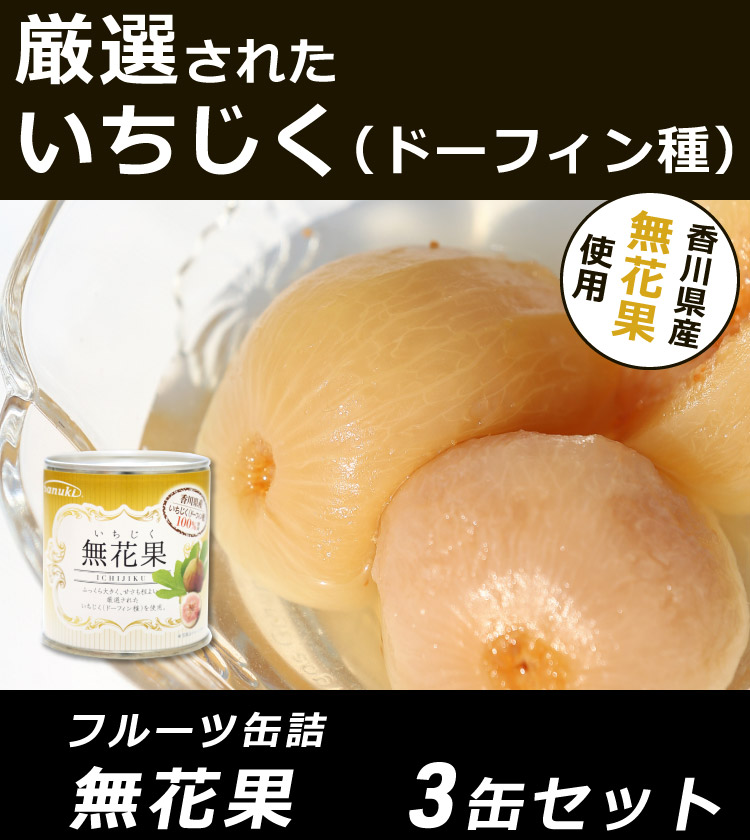 ギフト 贈答 お取り寄せ グルメ 缶詰 フルーツ 無花果缶詰 E05号