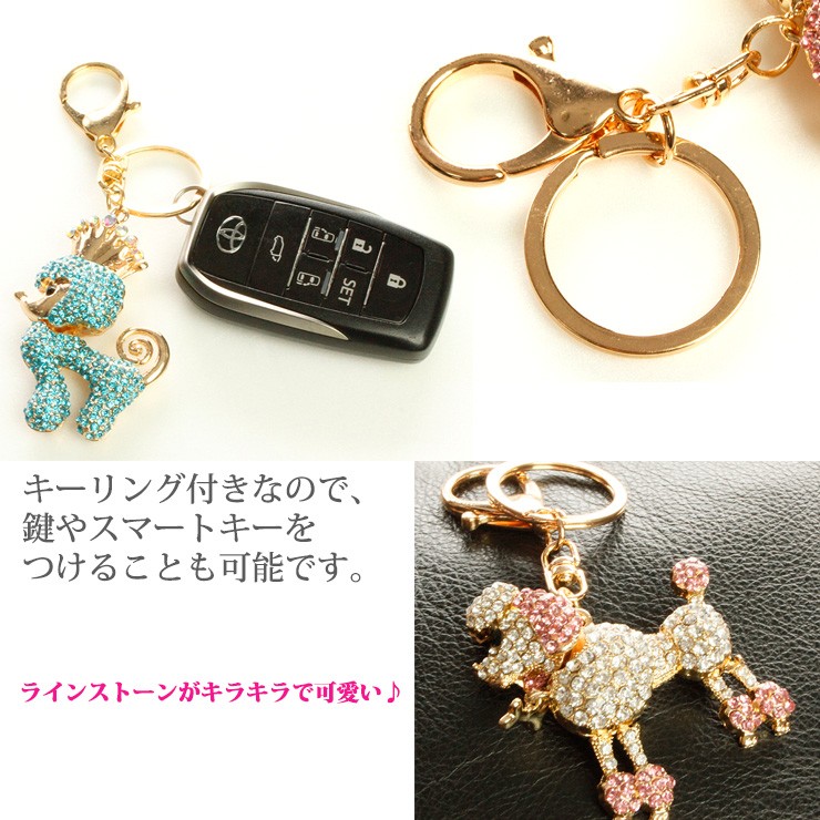 kirakira-a-3.jpg