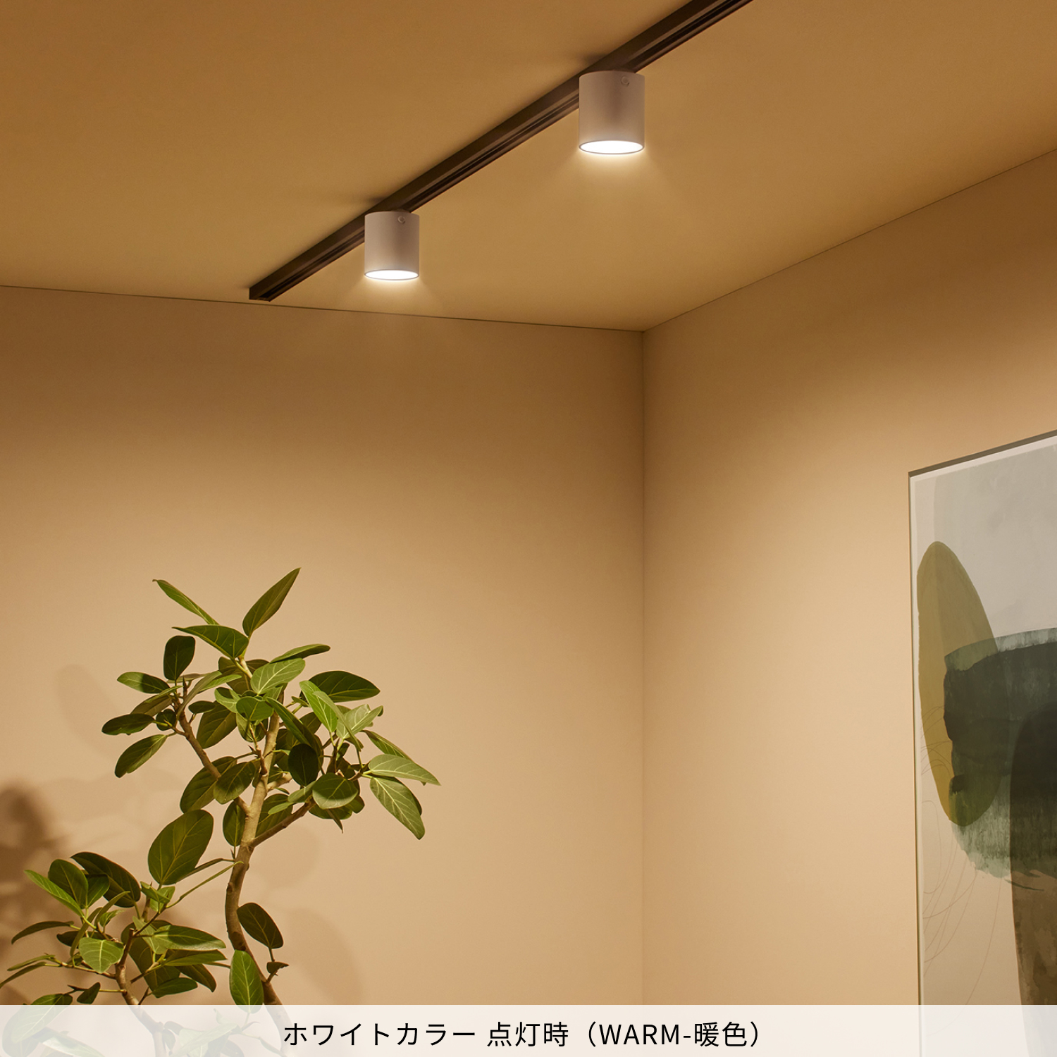 ARTWORKSTUDIO シーリングライト スポットライト アートワーク