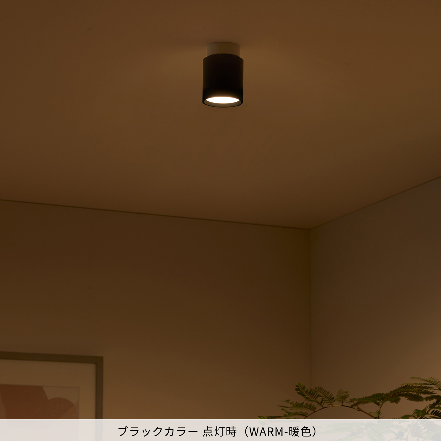 Grid-ceiling down light｜ARTWORKSTUDIO公式