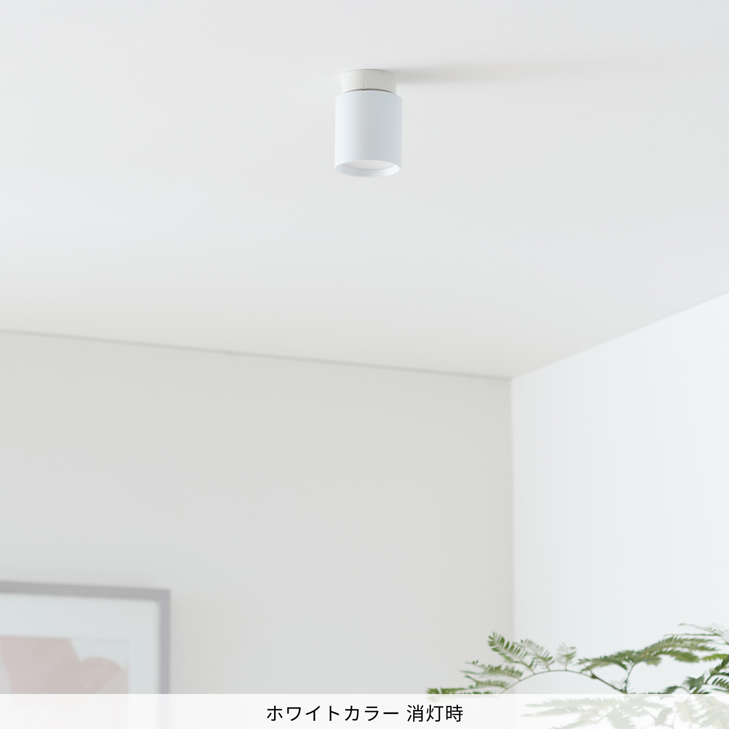 ARTWORKSTUDIO 照明器具 アートワークスタジオ公式 ダウンライト
