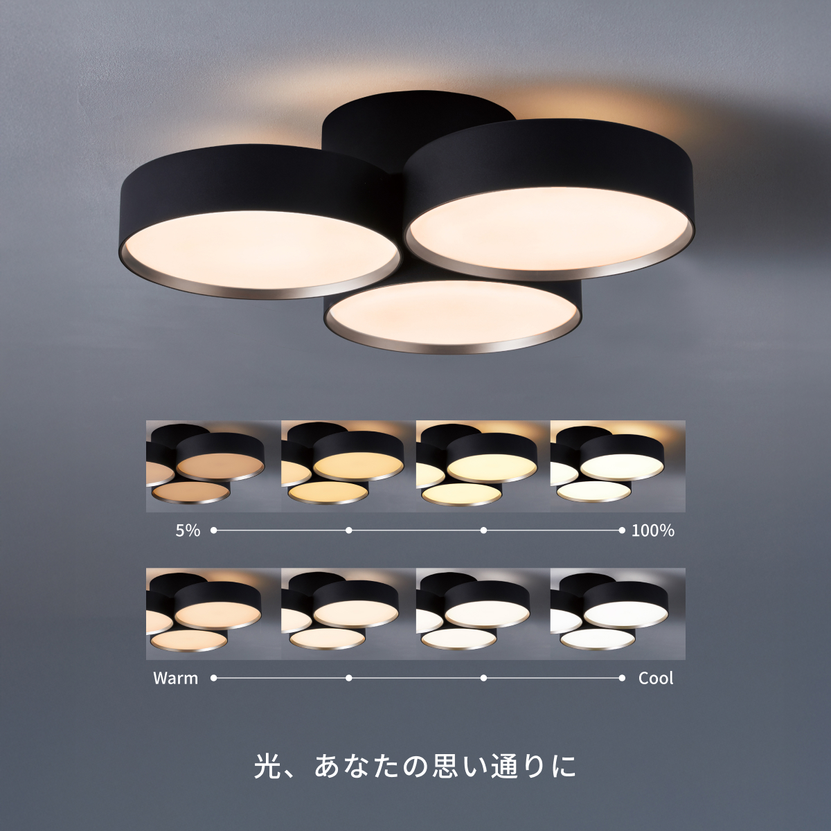 ARTWORKSTUDIO（アートワークスタジオ） シーリングライト 12畳 照明