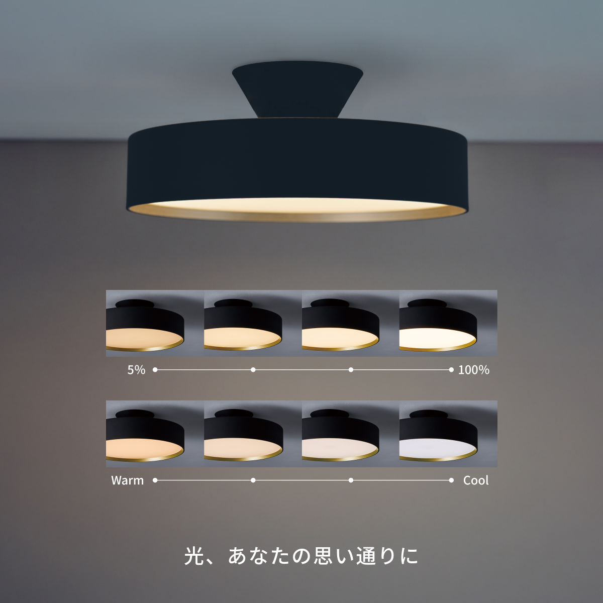 ARTWORKSTUDIO（アートワークスタジオ） シーリングライト 6畳 アート