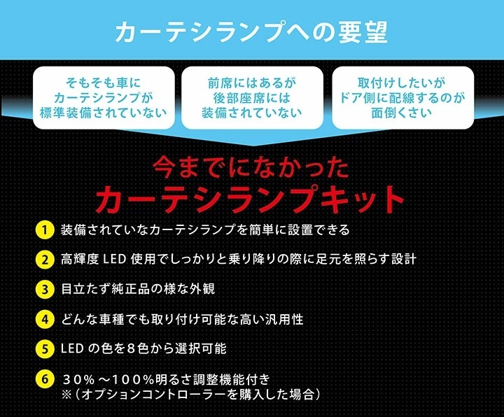 LEDカーテシランプ2個1セット ホンダ シビック/シビック タイプR（型式