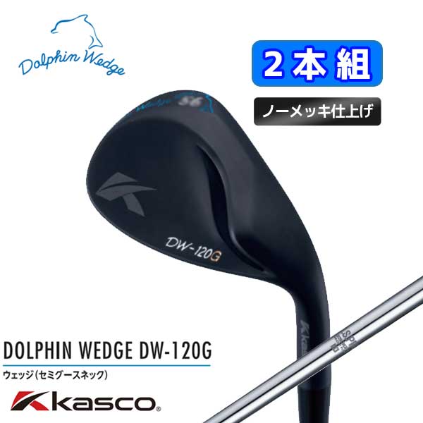 2本組【DW-120G BLK/ブラックノーメッキ】キャスコ ドルフィンウェッジ N.S.PRO 950GHスチール メンズ【12897】【00451】