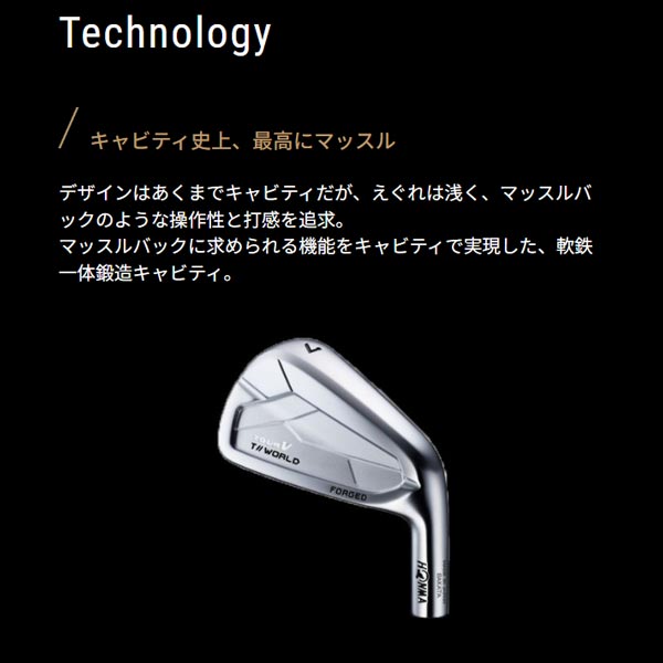 アクシスゴルフ アイアンのおすすめ人気商品一覧 通販 - Yahoo