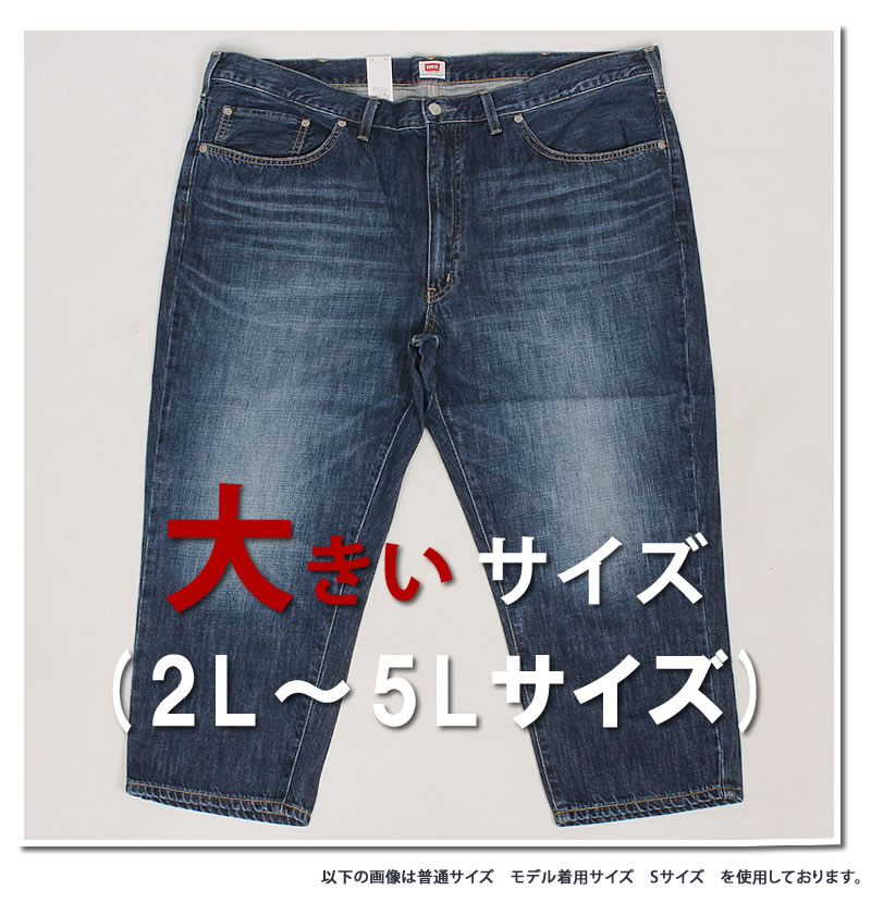 or slow オアスロウ ショートレングス 105 90s ジッパーフライ