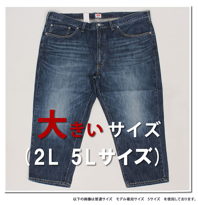 EDWIN 2L 5L エドウィン クロップド パンツ 大きいサイズ EMS007