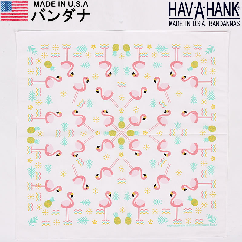 havahank33-01.jpg