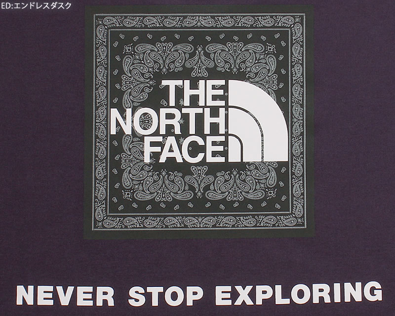 THE NORTH FACE（ザ ノースフェイス） バンダナスクエアロゴ Tシャツ