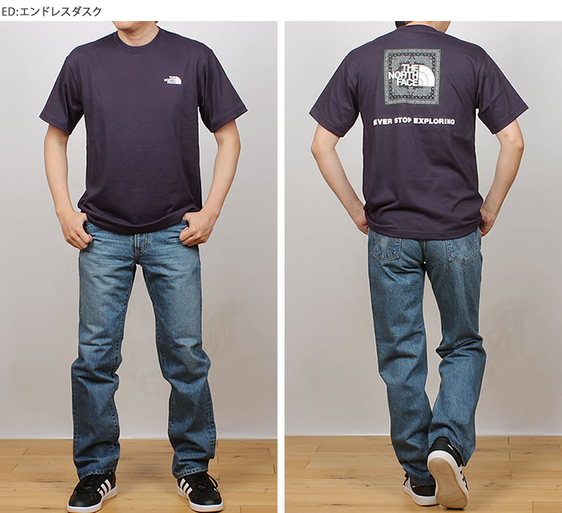 THE NORTH FACE（ザ ノースフェイス） バンダナスクエアロゴ Tシャツ