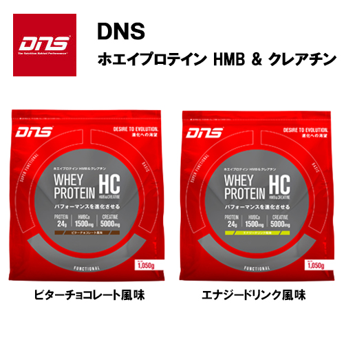 即納 DNS ホエイ＆カゼイン プロテイン SLOW ミルク風味 (1kg 