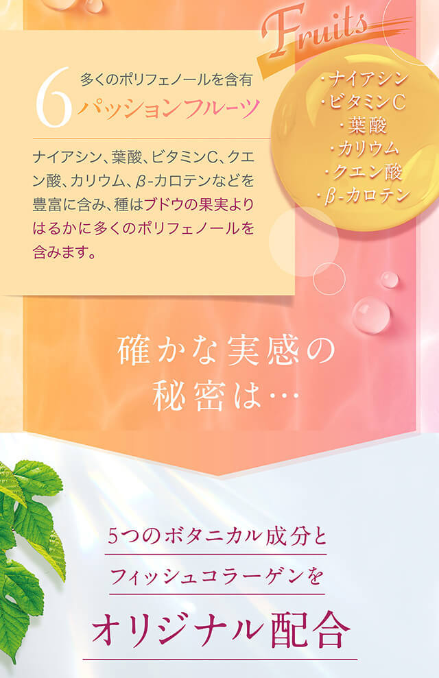 半額品 Dream in Tokyo 店清涼飲料水 エイジーセオリー AGドリンク 5th 750mL 25mL×30本 アクシージア エイジーセオリー AGドリンクX
(25mL×29本)