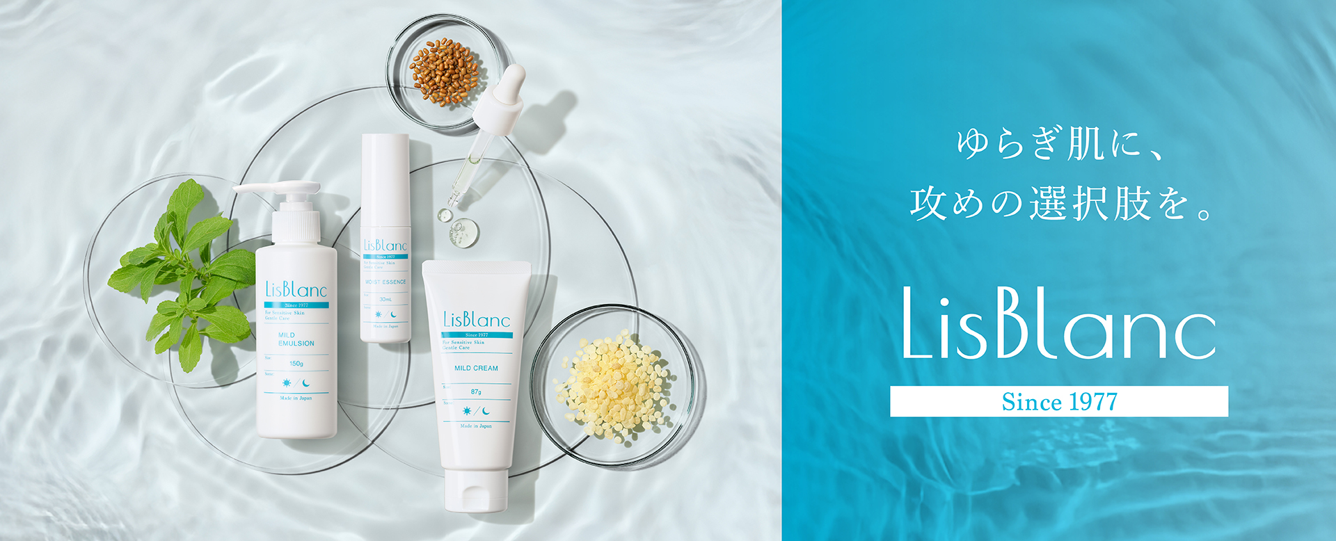 AXXZIA（アクシージア） 目元 パック シート 両目で30回分