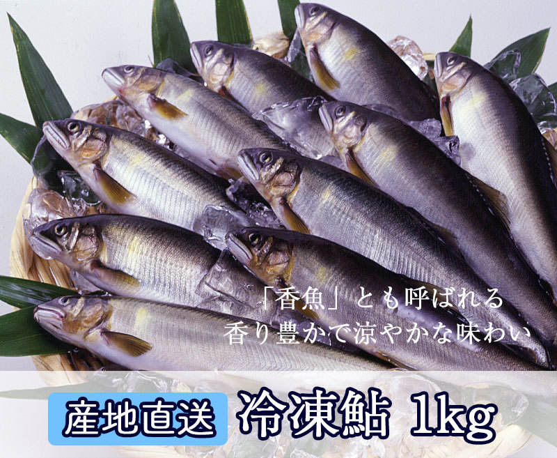 [あゆの店きむら] 滋賀県産 冷凍鮎 1kg (約12尾) | あゆ アユ 鮎 魚 川魚 バーベキュー BBQ キャンプ 冷凍  :FAY12:あゆの店きむら - 通販 - Yahoo!ショッピング