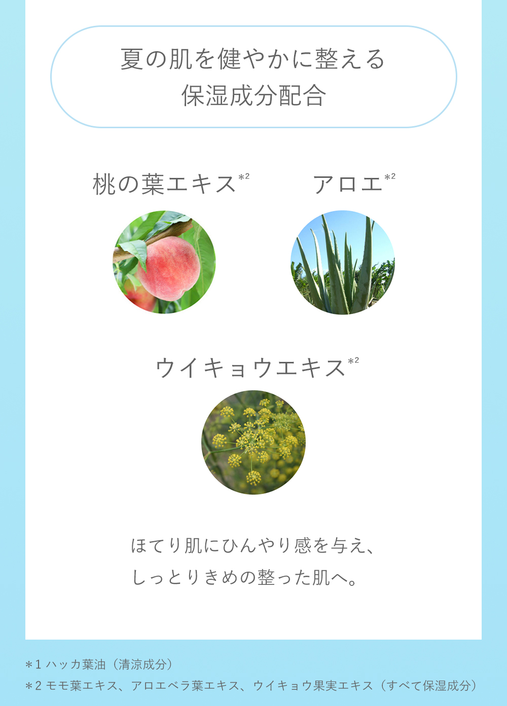 メディテーションバス（香涼み）α アユーラ 夏用 入浴剤 AYURA