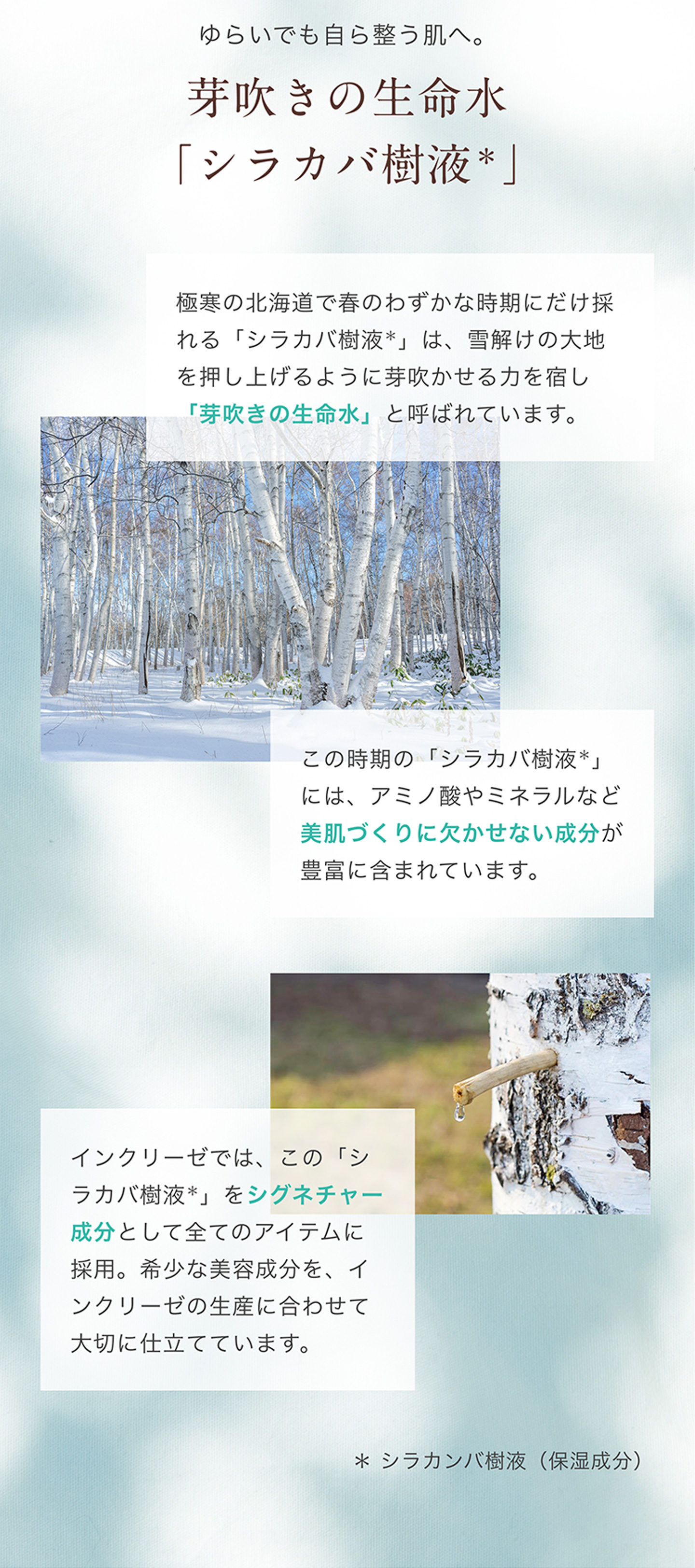 AYURA（アユーラ） インクリーゼ モイストローション R 化粧水