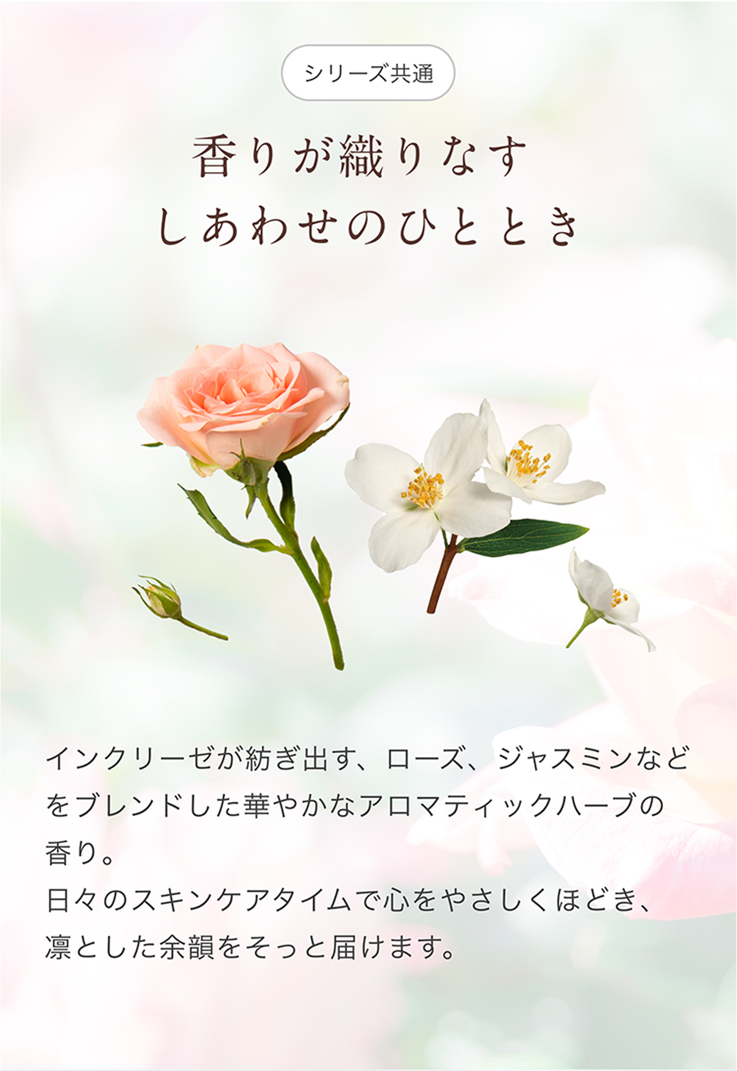 AYURA（アユーラ） インクリーゼ モイストローション R 化粧水