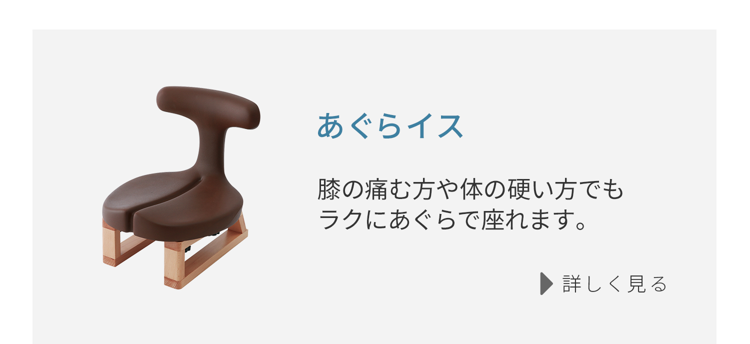 アーユル・チェアー オクトパス 事務椅子 学習椅子 腰痛 姿勢矯正 骨盤矯正 腰痛対策 予防 改善 集中力向上