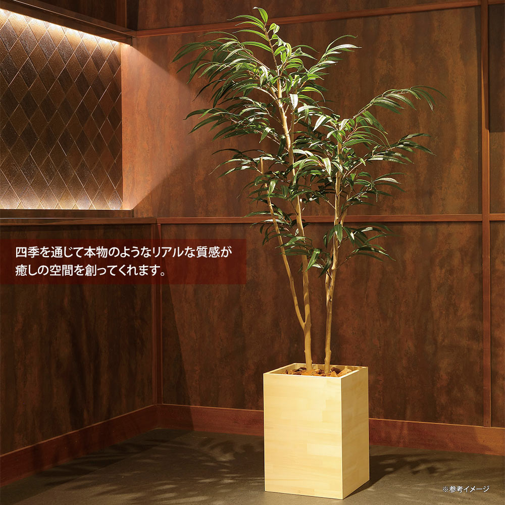 光触媒観葉植物 ウッドボックスオリーブ1.6 〔フロアタイプ(ハイサイズ