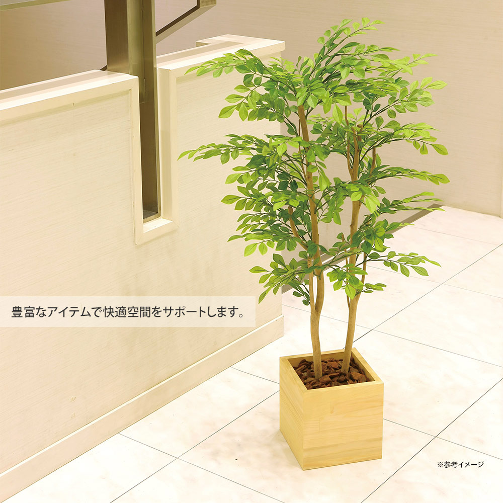 光触媒観葉植物 ウッドボックスライトトネリコ1.0 〔フロア
