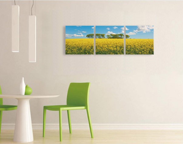 アートフレーム ND Concept Frame 3枚set 菜の花畑 絵画 壁掛け 壁飾り
