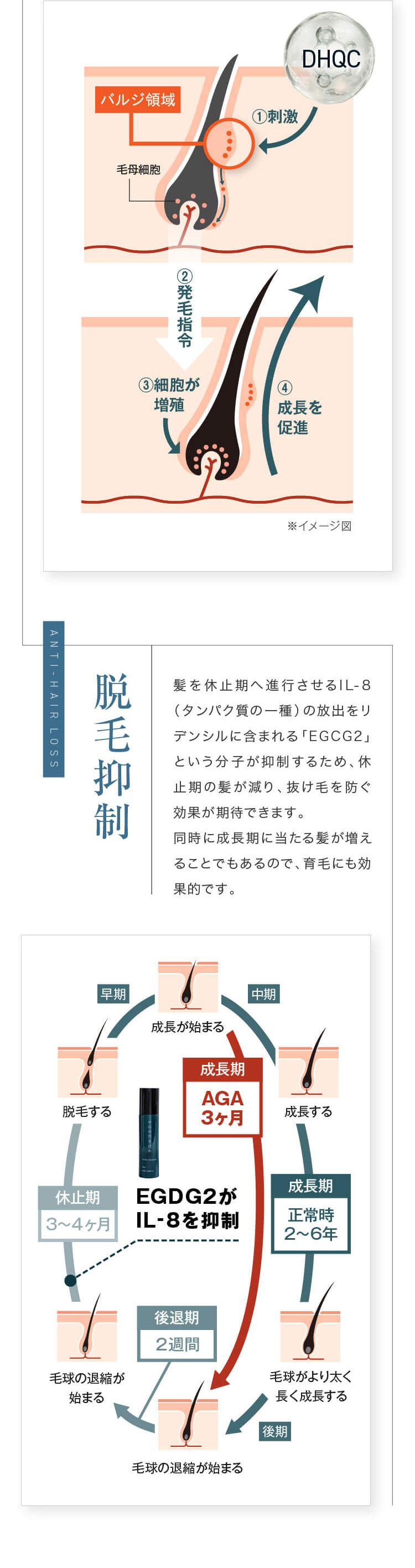 Amazon | 頭頂部・つむじの薄毛に効果的な育毛剤 リデンシル配合