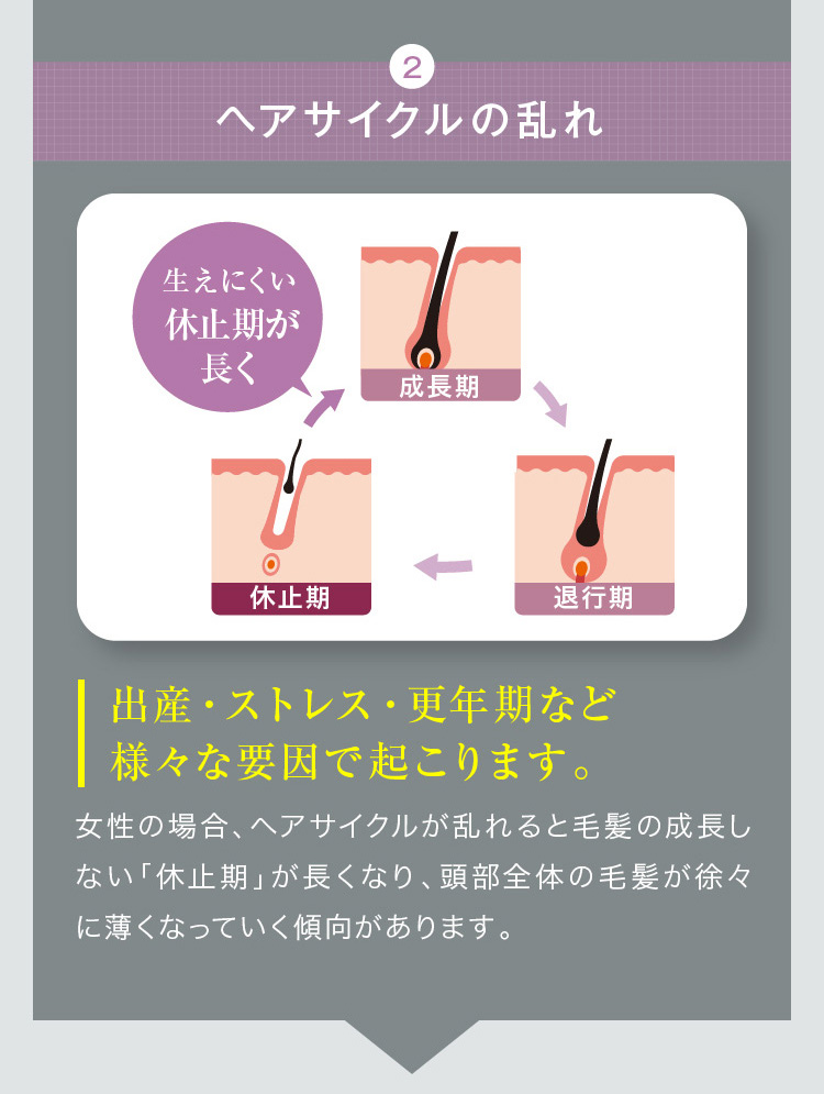 3本分のお値段で4本目無料プレゼント！【女性用育毛剤】 スカルプははこ 120ml 女性の薄毛、抜け毛ケア 妊娠中、産後の抜け毛ケアに  :scalp-006:麻布化粧品 - 通販 - Yahoo!ショッピング