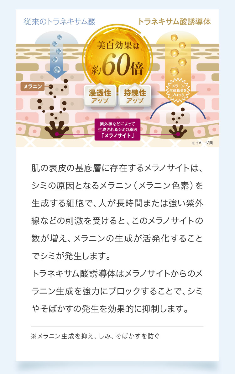 美白クリーム 新美白有効成分 トラネキサム酸誘導体配合 ホワイトップ