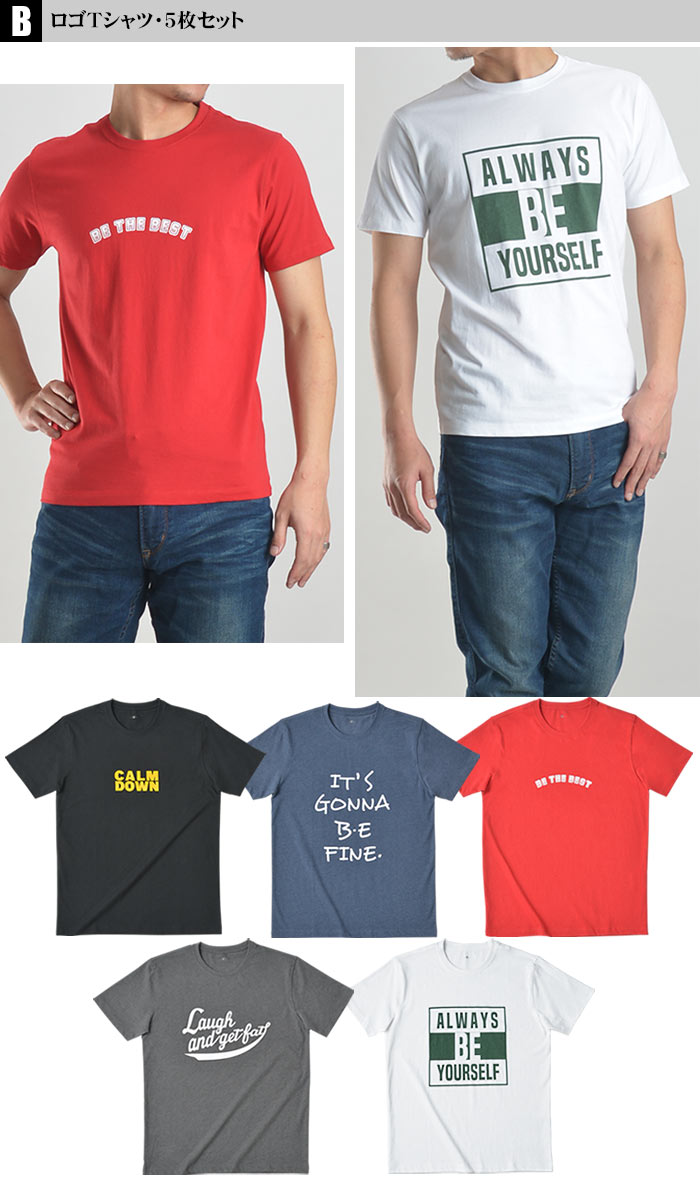 Tシャツ メンズ 半袖 ロゴTシャツ 5枚セット レギュラーサイズ