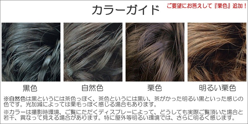飾りシニヨンFバレッタ付ウィッグカラーガイド