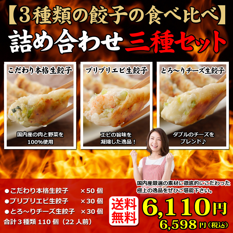 送料無料 (３種類１１０個入り) ２２人前 詰め合わせ 冷凍餃子 生餃子