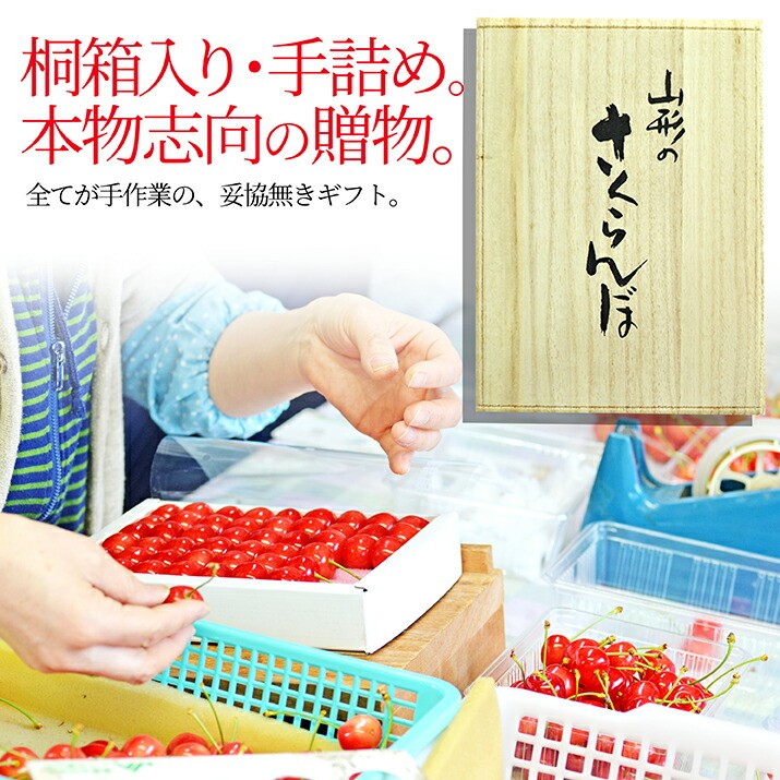 さくらんぼ 佐藤錦 2Lサイズ 500g 特秀 桐箱入 鏡詰め 山形県産 サクランボ ギフト プレゼント 予約商品 送料無料 果物 フルーツ_4