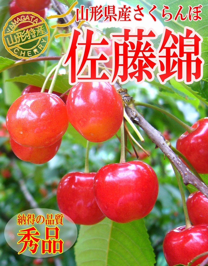 只今お届け中 さくらんぼ 佐藤錦 700g 秀品 ギフト 贈答 Mサイズ