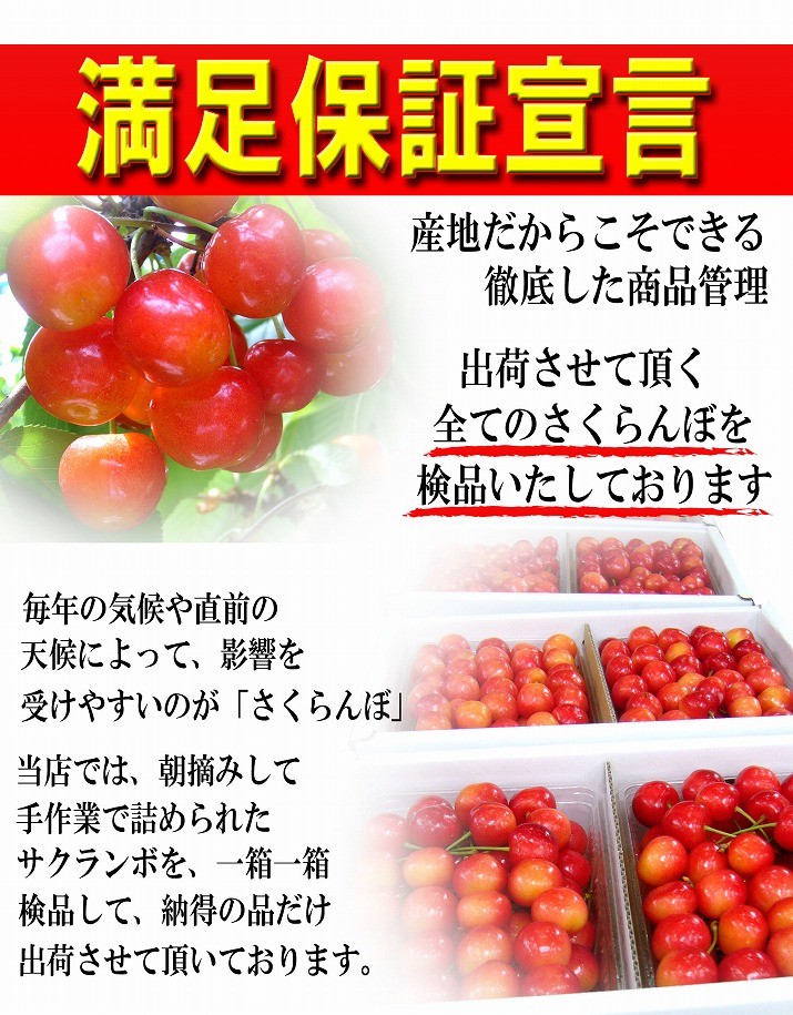 只今お届け中 さくらんぼ 佐藤錦 700g 秀品 ギフト 贈答 Mサイズ