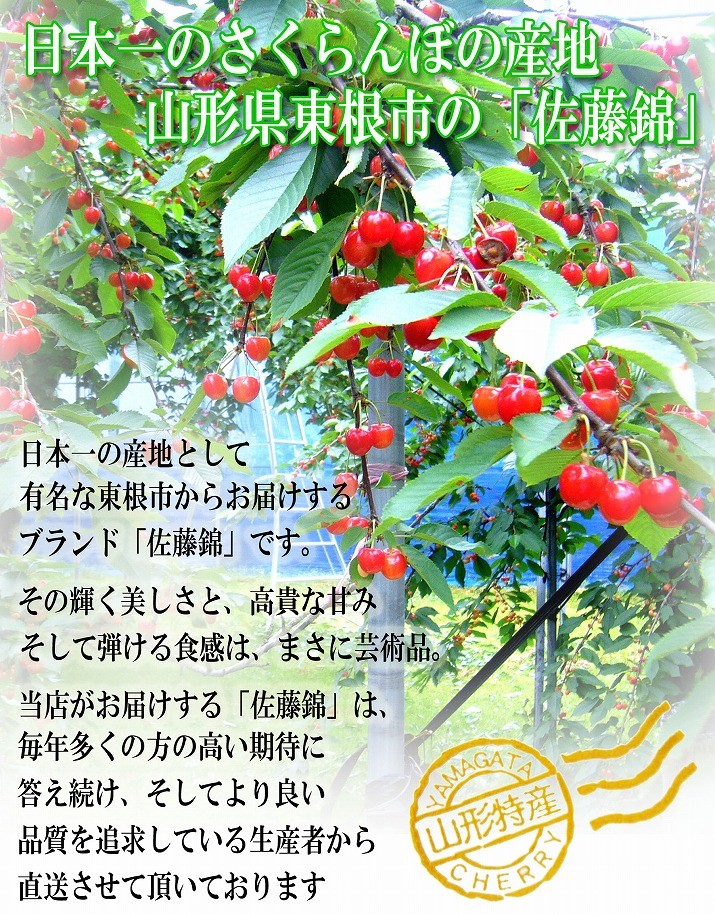 さくらんぼ 佐藤錦 1kg (500g×2) 特秀品 鏡詰め ギフト 贈答 2L