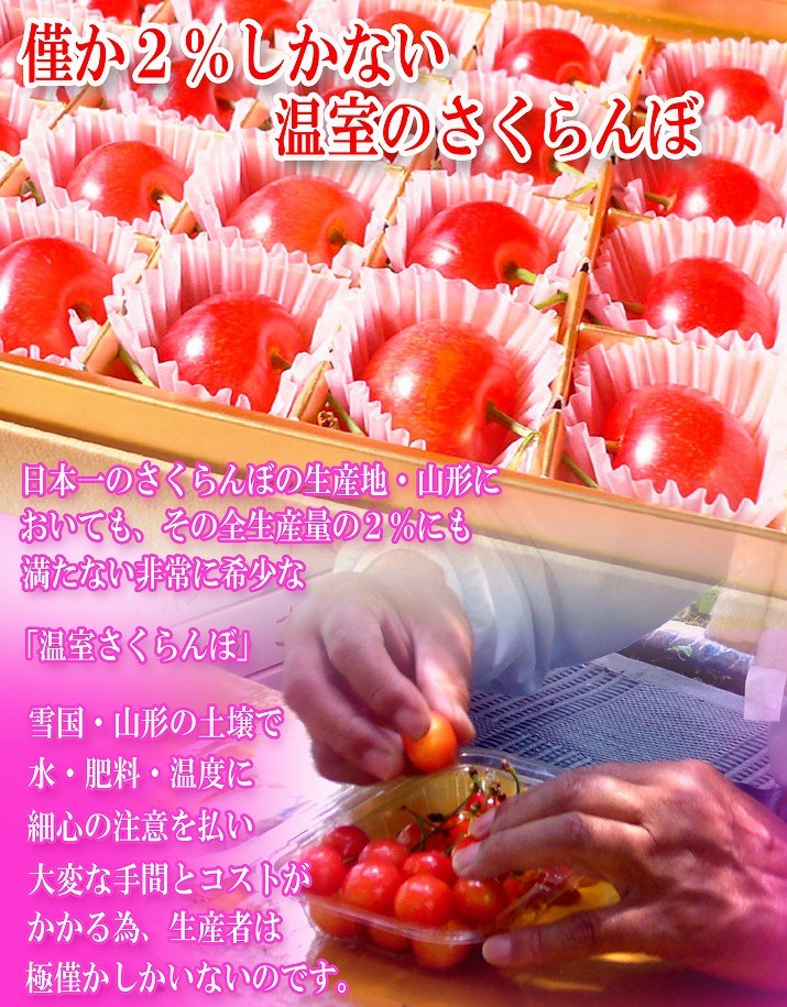 2018-01-sk-134-02.jpg