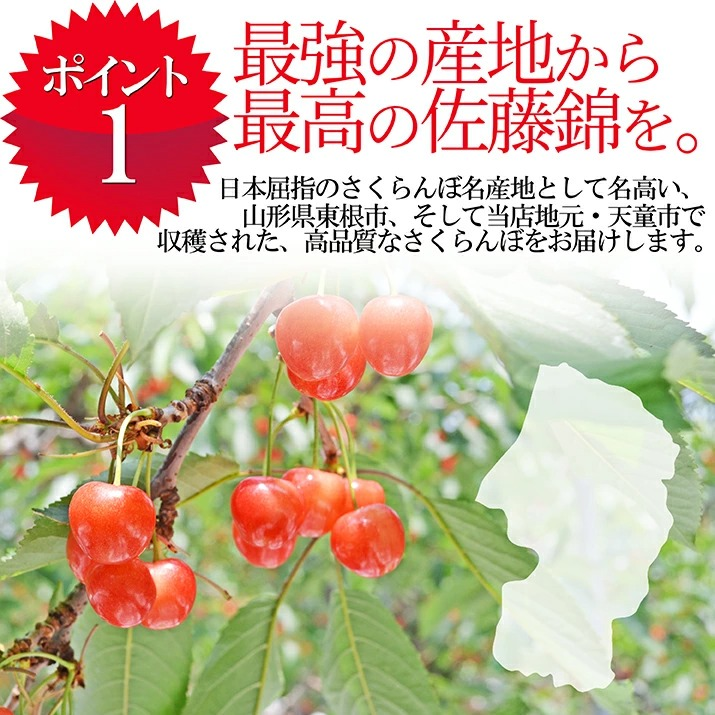 さくらんぼ 佐藤錦 1kg(500g×2) 秀...の詳細画像4