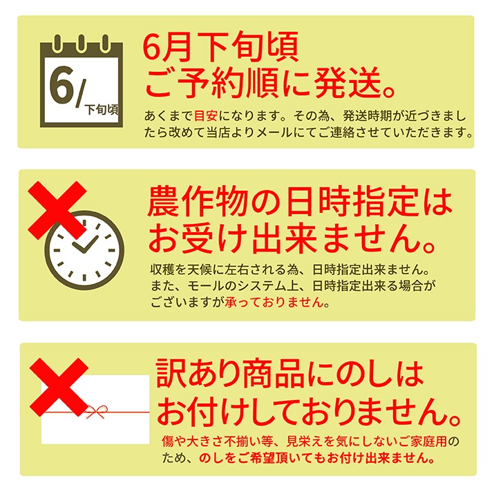 さくらんぼ 佐藤錦 or 紅秀峰 1kg 自宅用 訳あり お得用 ご家庭用 山形 山形県産 さくらんぼ訳あり サクランボ チェリー さくらんぼ 送料無料 果物 |  | 11