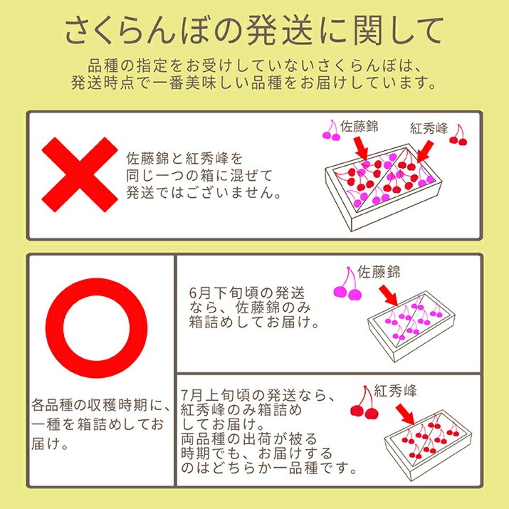 さくらんぼ 佐藤錦 or 紅秀峰 1kg 自宅用 訳あり お得用 ご家庭用 山形 山形県産 さくらんぼ訳あり サクランボ チェリー さくらんぼ 送料無料 果物 |  | 10