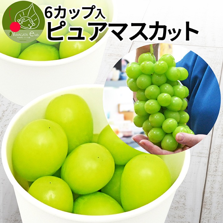 カップ入りシャインマスカット ピュアマスカット 6カップ入り 送料無料