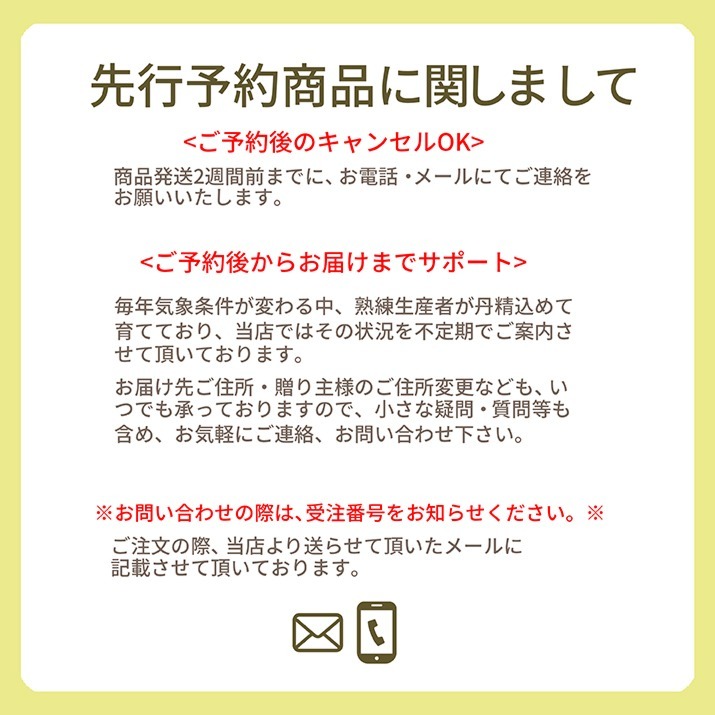 りんご 高徳 (こうとく) 1kg 5〜7玉前後 蜜入り 山形県産 自家用 