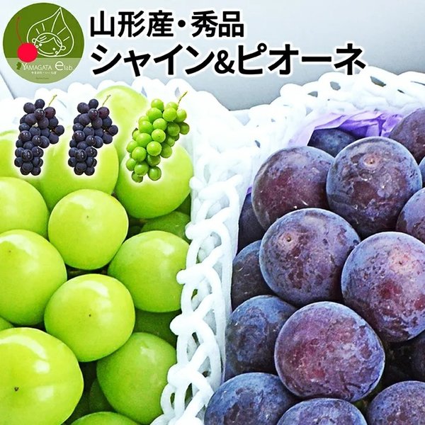 ぶどう セット 詰め合わせ シャインマスカット 1房 & 大粒 ピオーネ 2