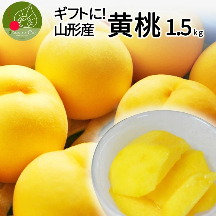 山形県産 黄桃 秀品 約1.5kg (6玉前後) クール便 化粧箱入り
