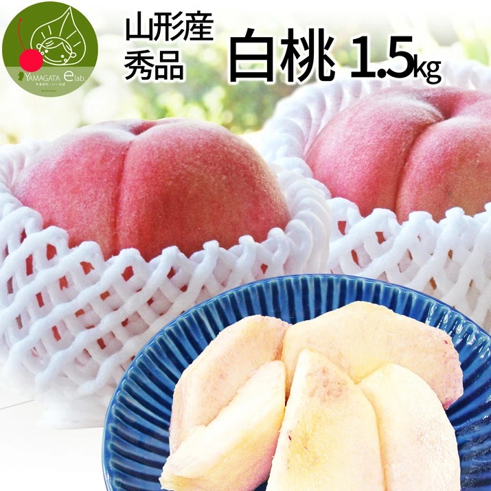 山形県産 白桃 秀品 約1.5kg (6玉前後) クール便 固い桃