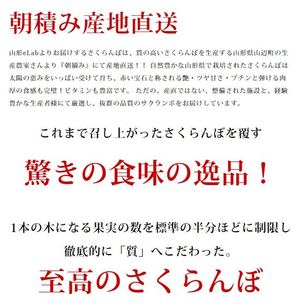 さくらんぼ 佐藤錦 2Ｌ玉 500g 桐箱入 山形 特秀 2024 山形県産