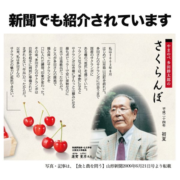 さくらんぼ 佐藤錦 2L玉 700g 桐箱入 山形 特秀 2025 山形県産