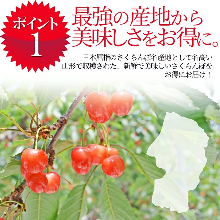 山形名産 さくらんぼ 佐藤錦（秀品）贈答品に 1kg 先行予約》 さくらんぼ 佐藤錦 秀Lサイズ プレゼント ギフト