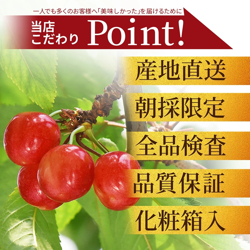 【未使用新品】当選品　お菓子売り場でゲットザクザクレンジャーキーキャンペーン お中元 さくらんぼ 佐藤錦 or 紅秀峰 700g（350g×2） 秀品